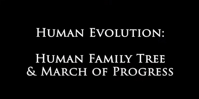Genesis Impact Clip - Human Family Tree March of Progress