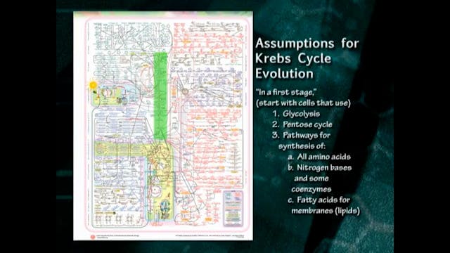 Molecular Evidence for Creation, Part 3