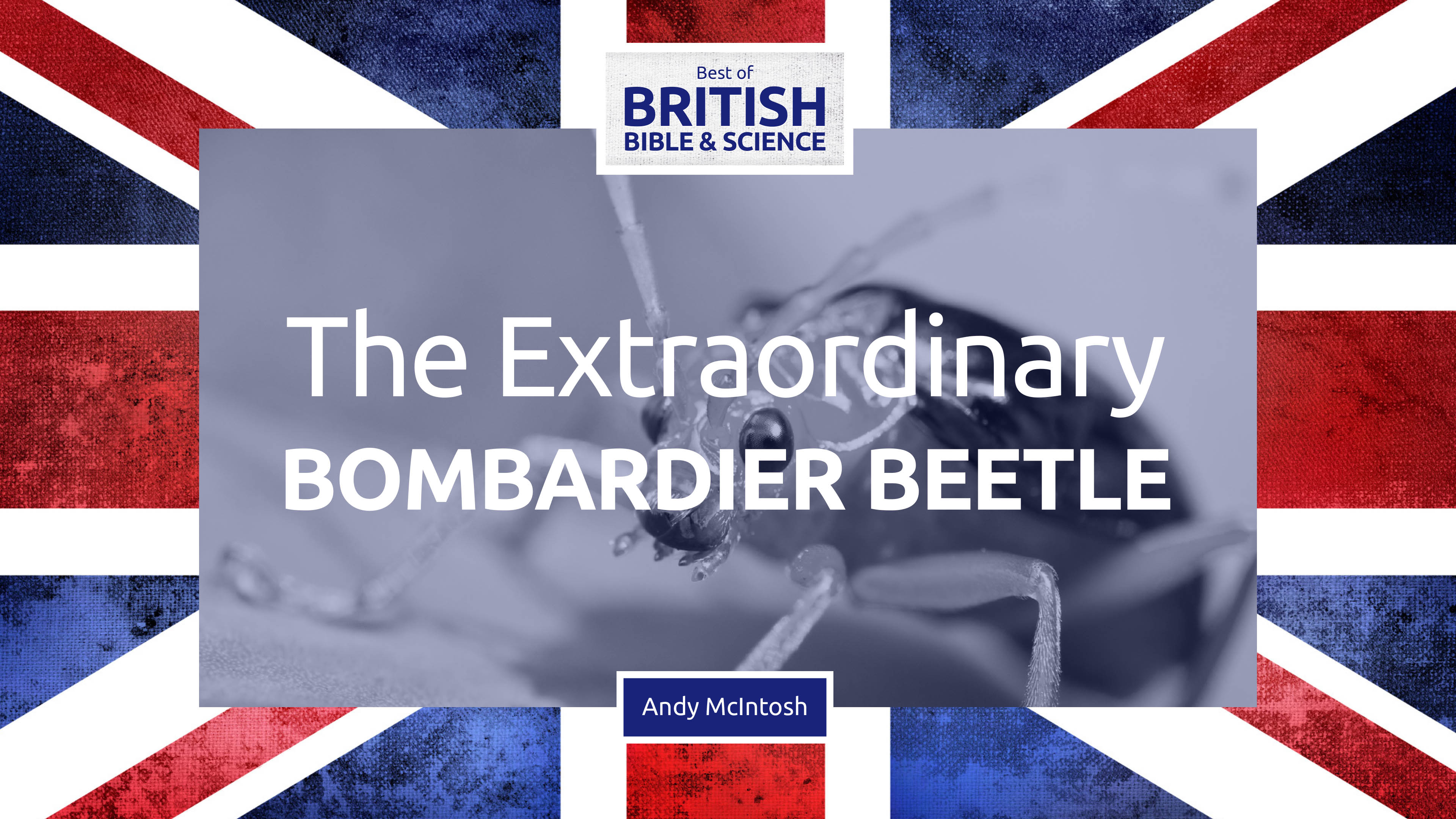 The Extraordinary Bombardier Beetle - Prof. Andy McIntosh