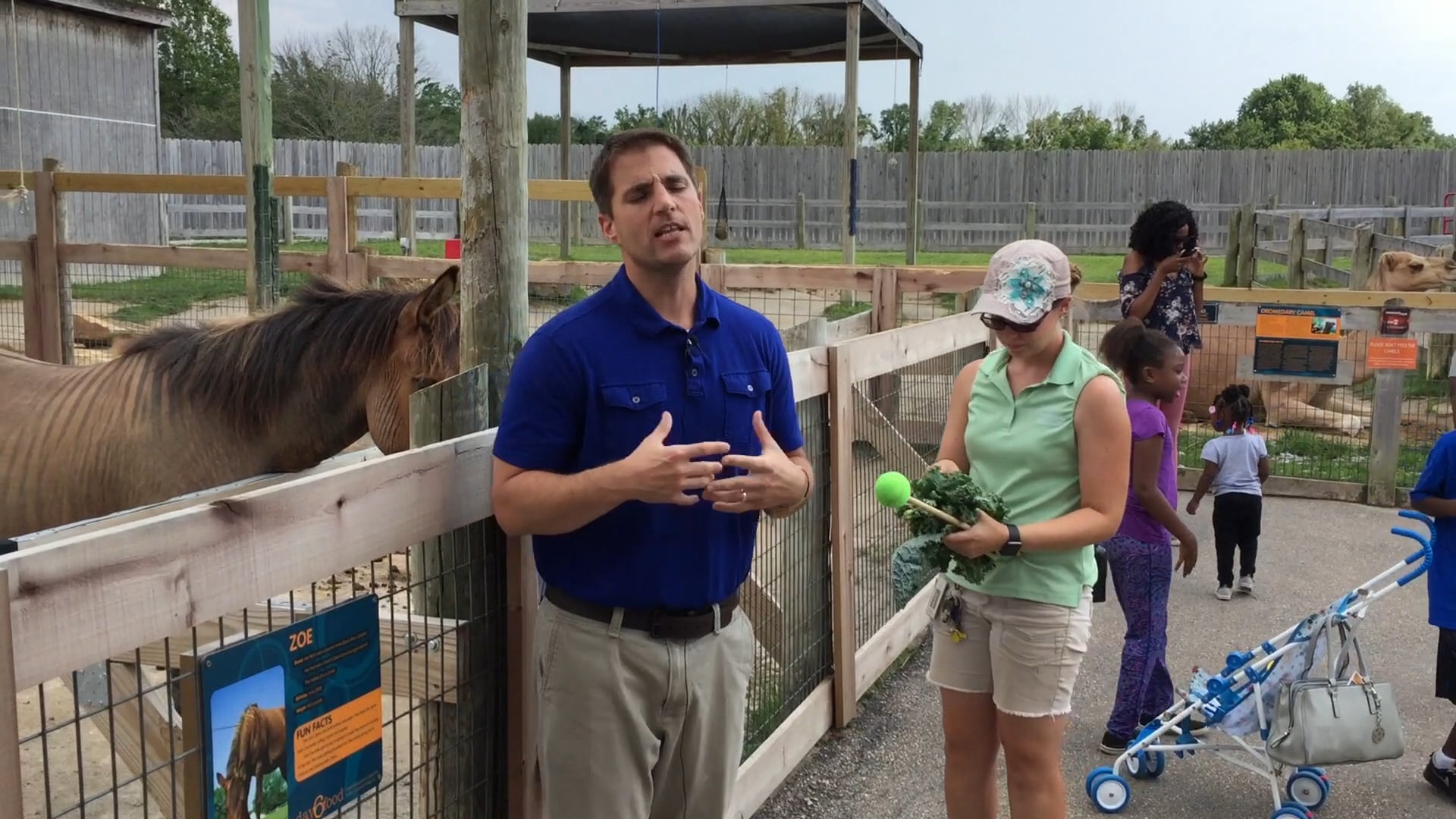 Creation: Days and Kinds