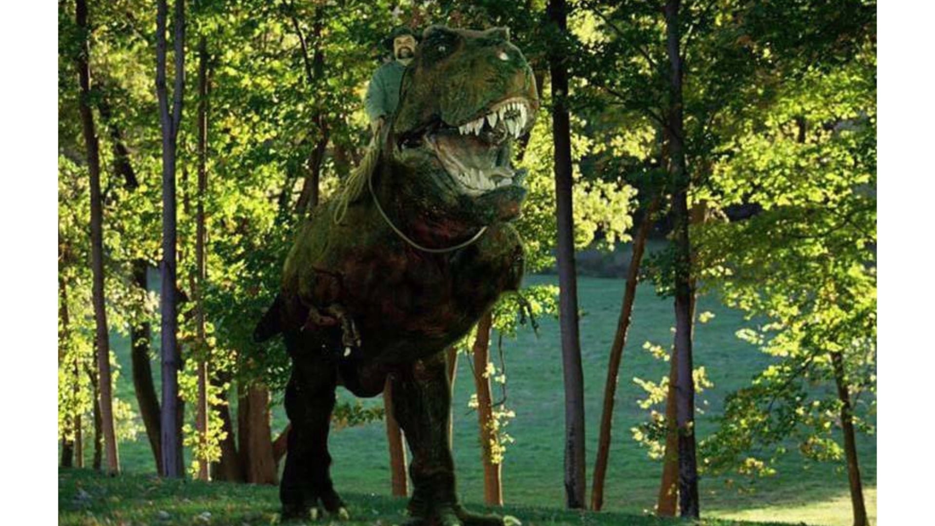 Aventuras con Buddy Davis: Episodio 10