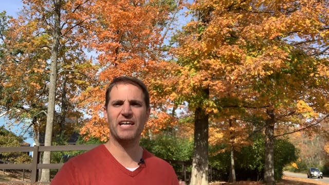 Jesus is Transfigured