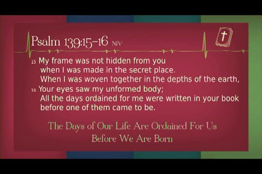 Fearfully & Wonderfully Made 1 (2015)