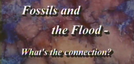 Fossils and the Flood: What's the Connection? Part 1