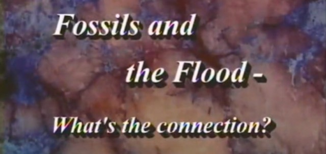 Fossils and the Flood: What’s the Connection? Part 1