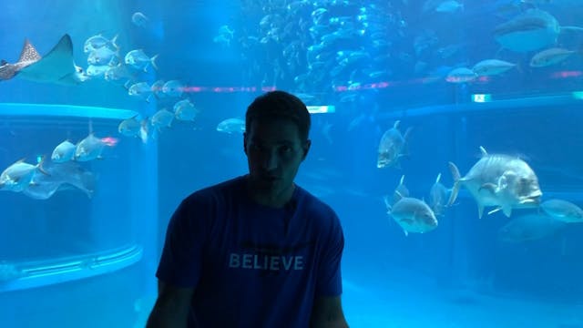 David Defeats Goliath