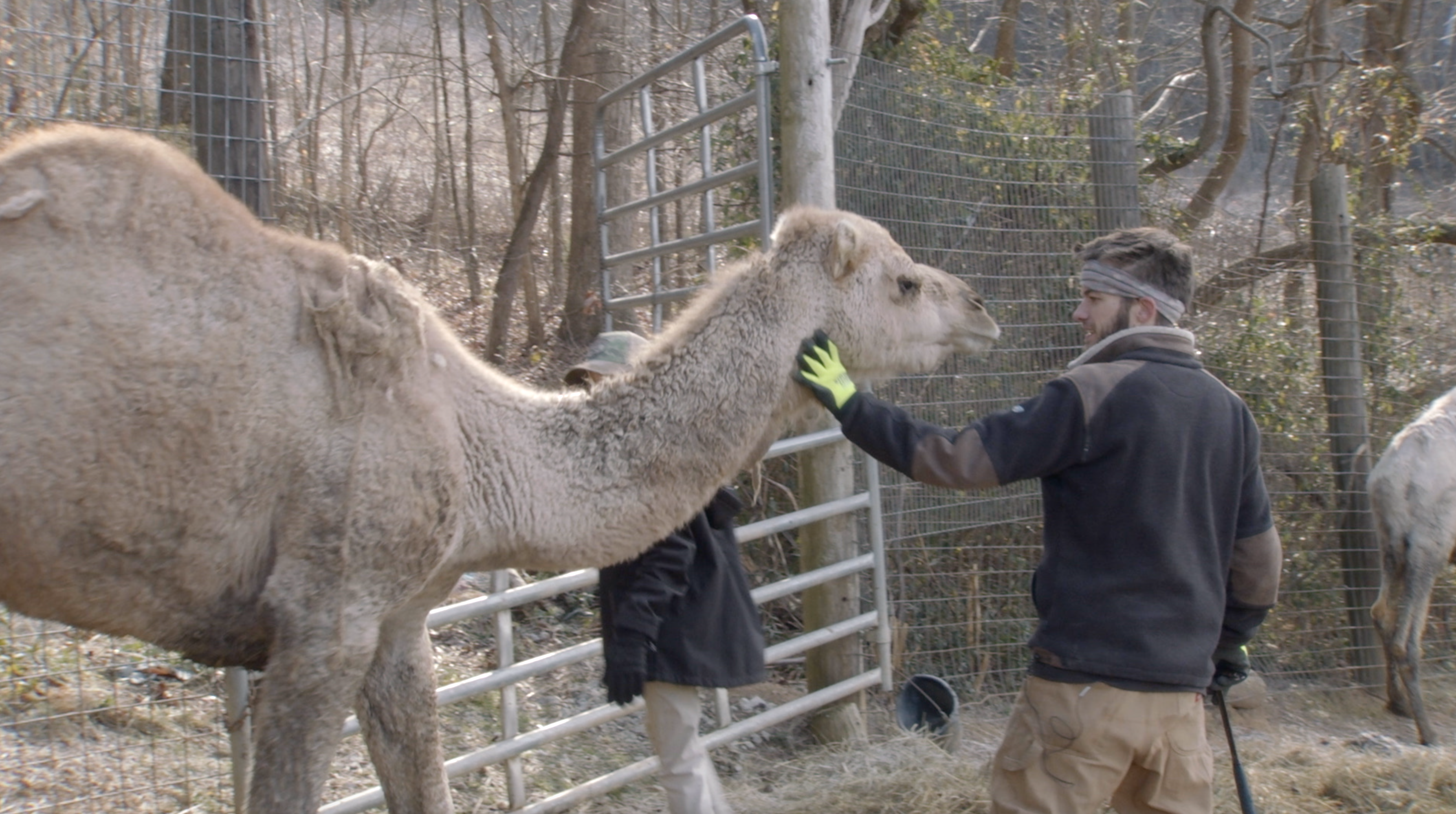 S1E7 Brrring on the Winter