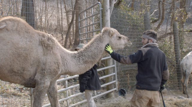 S1E7 Brrring on the Winter