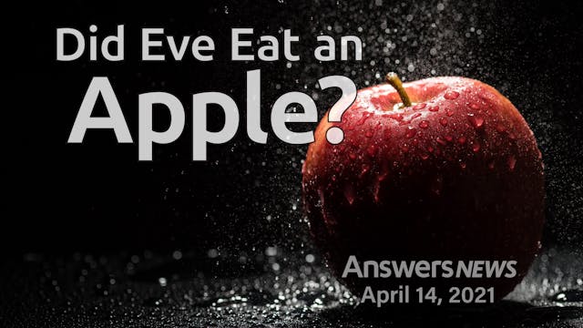 4/14 Did Eve Eat an Apple?