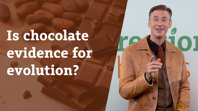 Is chocolate evidence for evolution? 