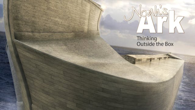 Noah's Ark: Thinking outside the Box