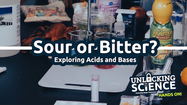 Hands On: Sour or Bitter?