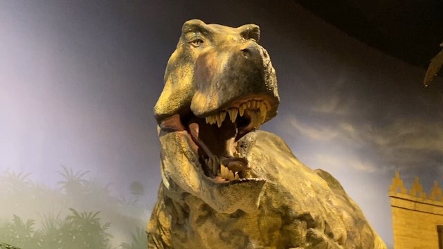 How Buddy Sculpted Dinosaurs for the Creation Museum