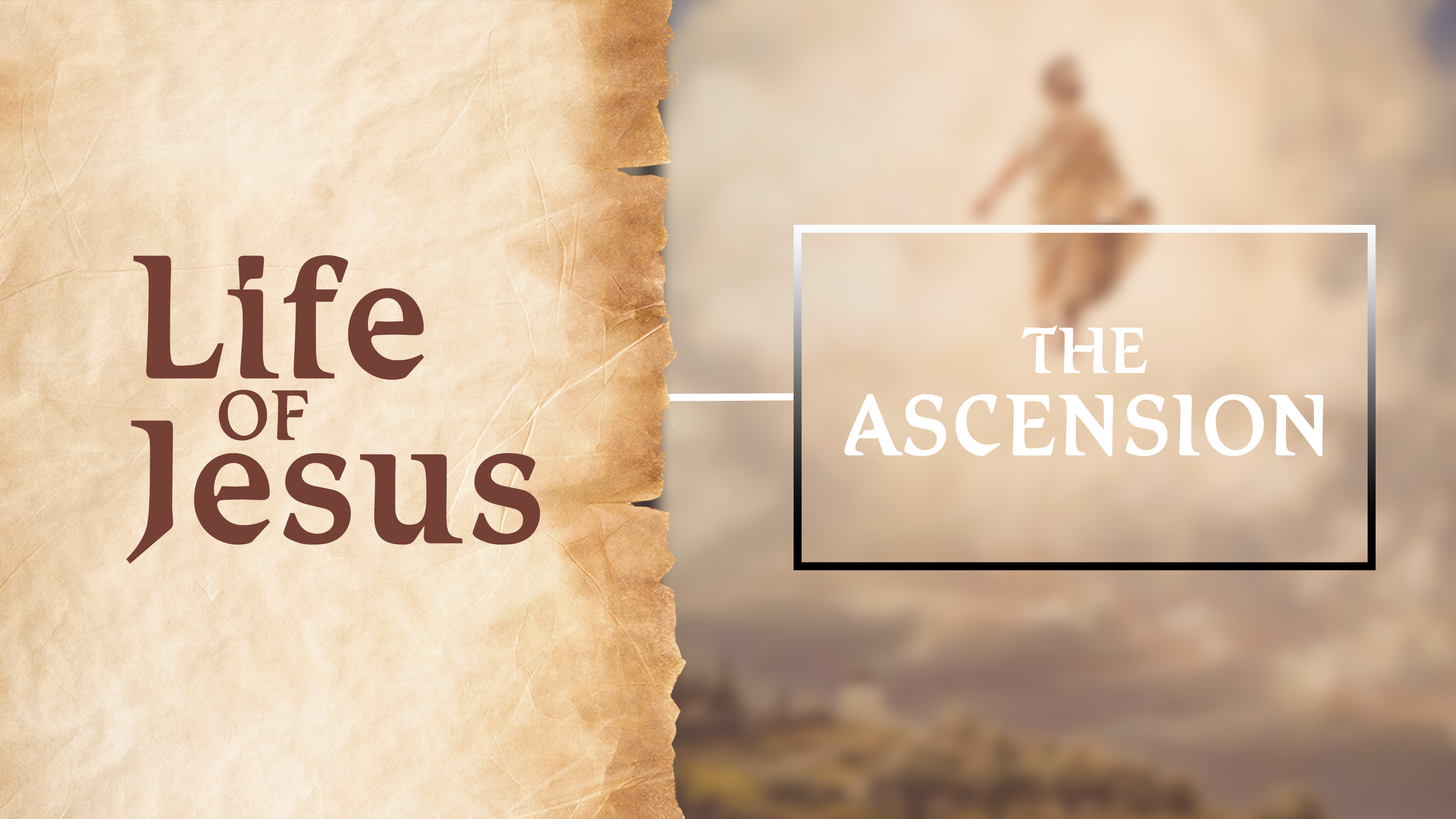 November 2023: The Ascension