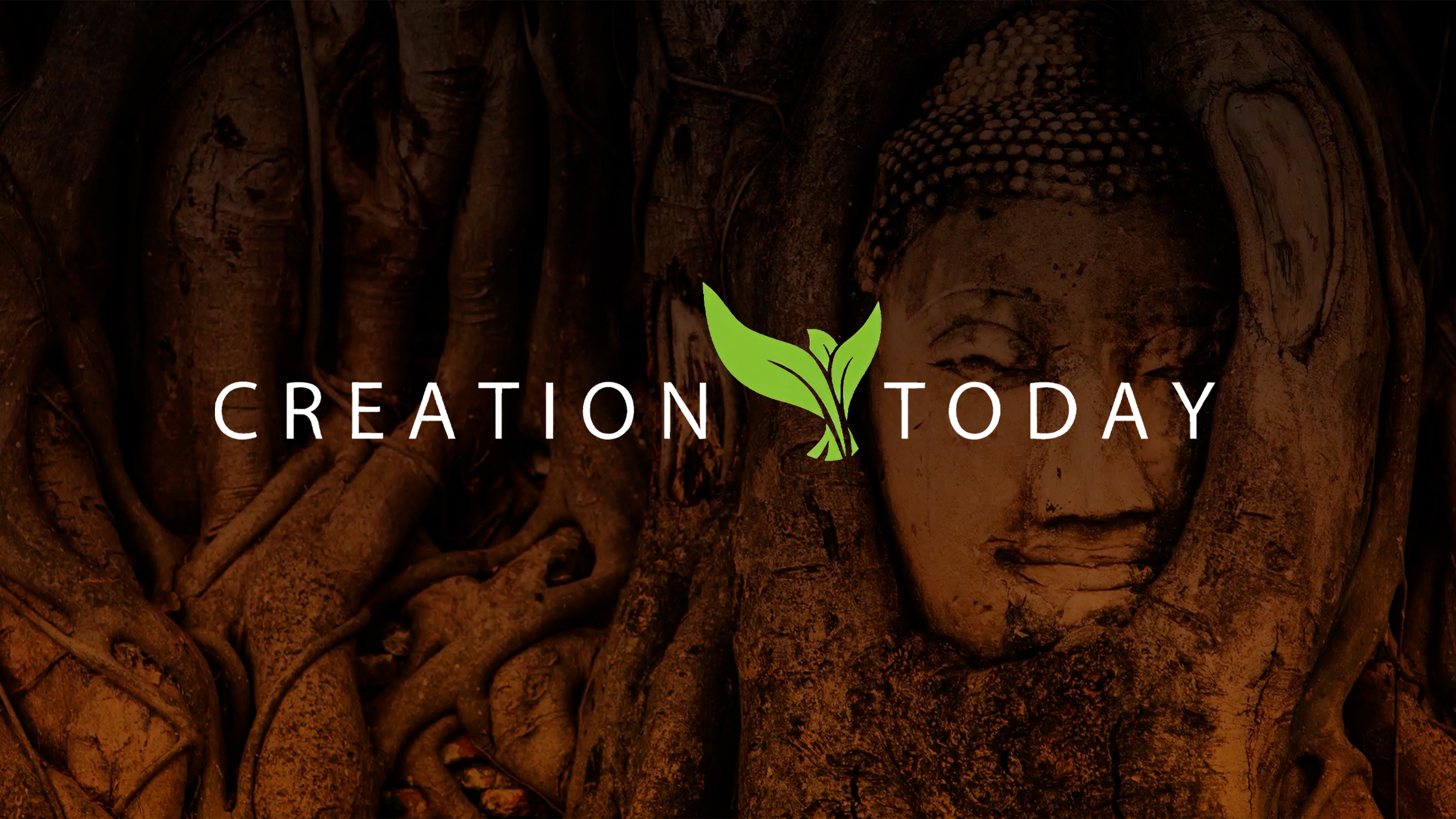 S1E8 Israel Wayne and the Secrets of the Lost Art