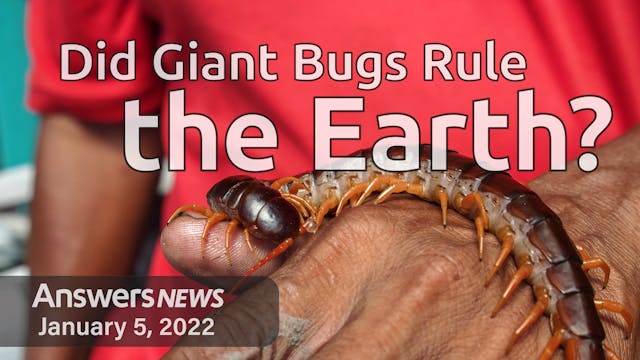 1/05 Did Giant Bugs Rule the Earth?