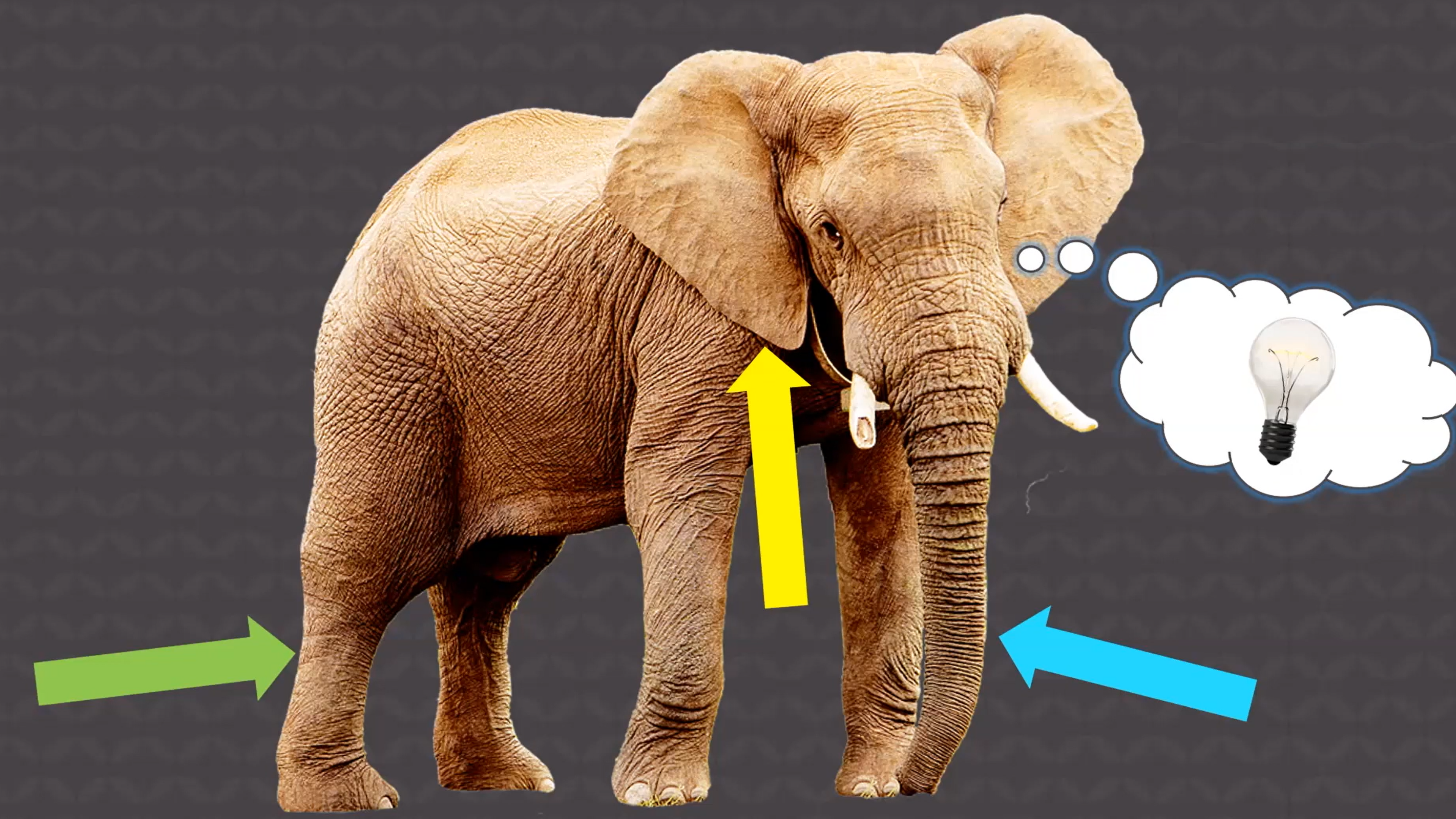 Patricia Engler: 7 Checks of Critical Thinking