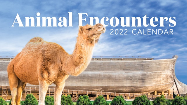 Animal Encounters: Calendar