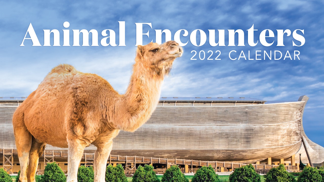 Animal Encounters: Calendar