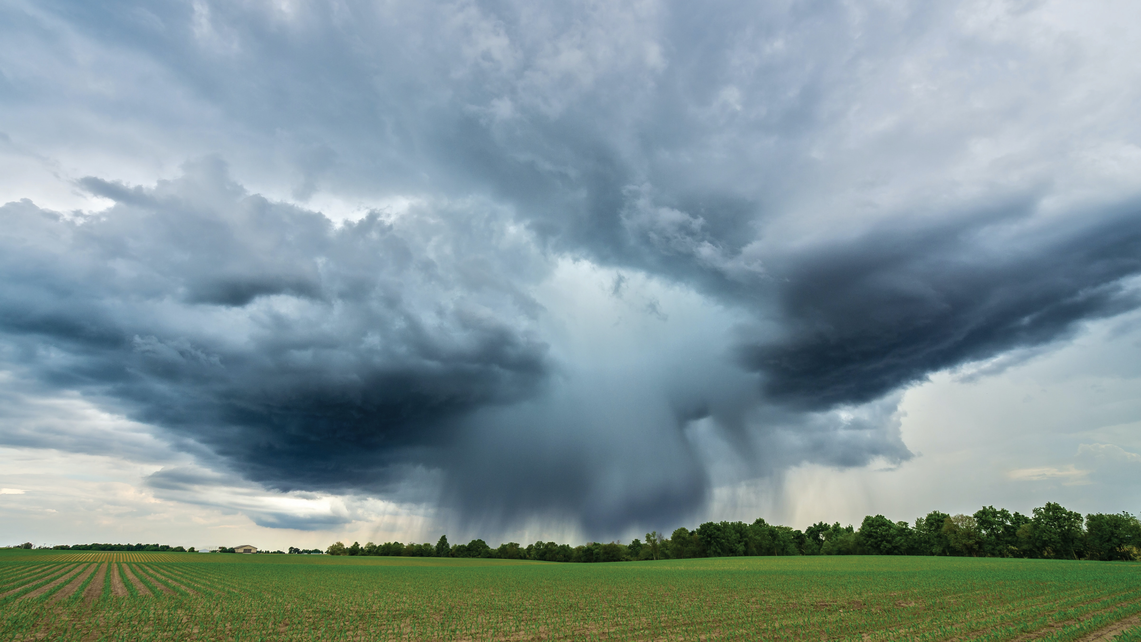 S2E1 Weathering a Storm