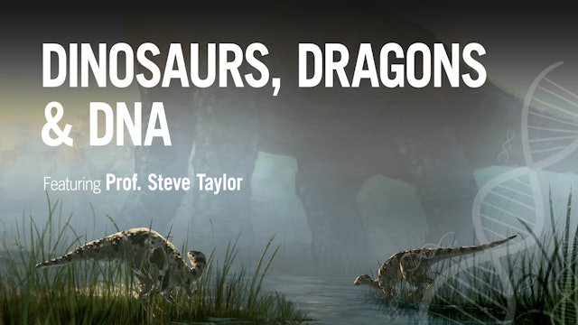 Dinosaurs, Dragons & DNA with Professor Steve Taylor