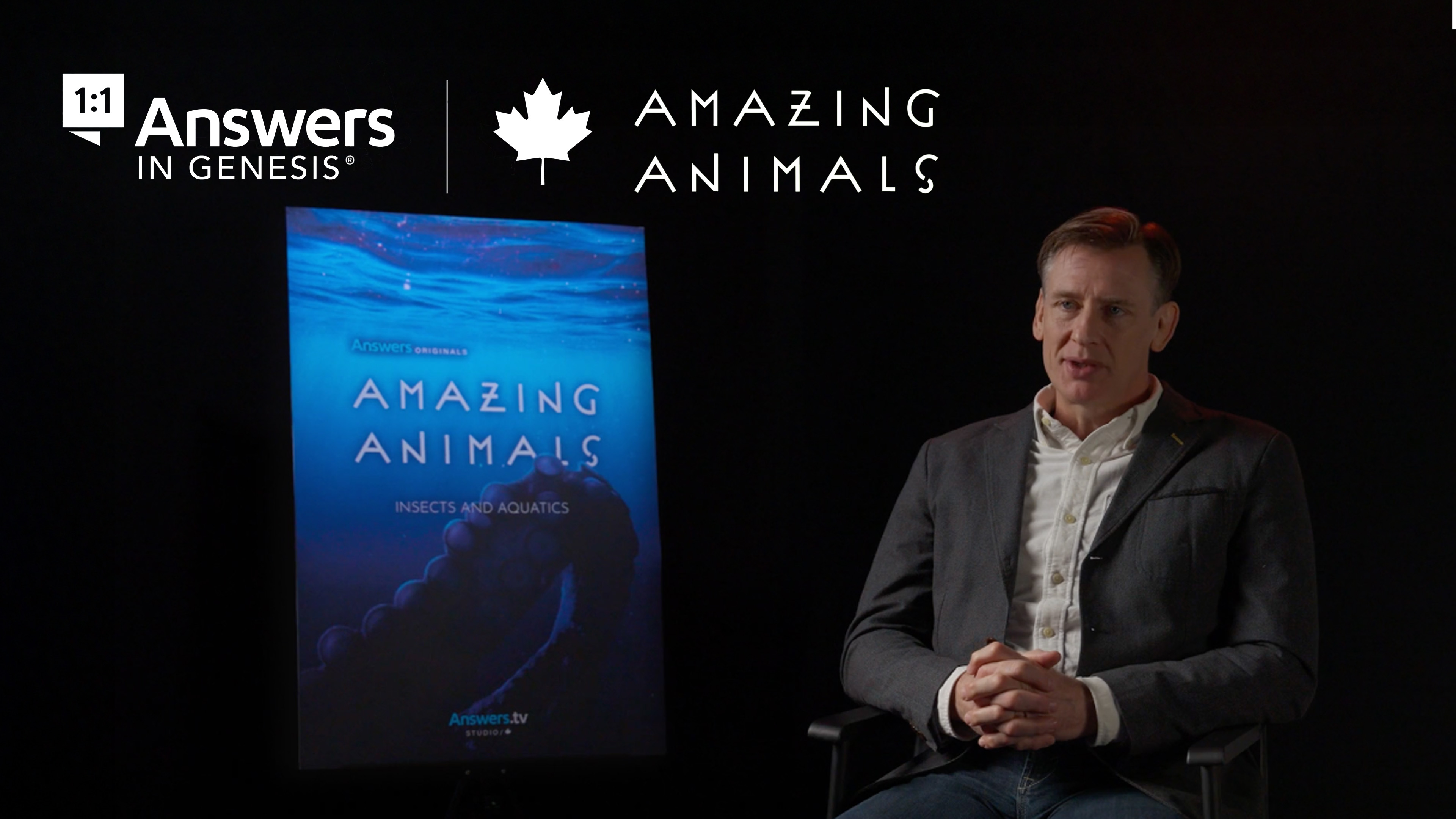 Amazing Animals - Insects and Aquatics