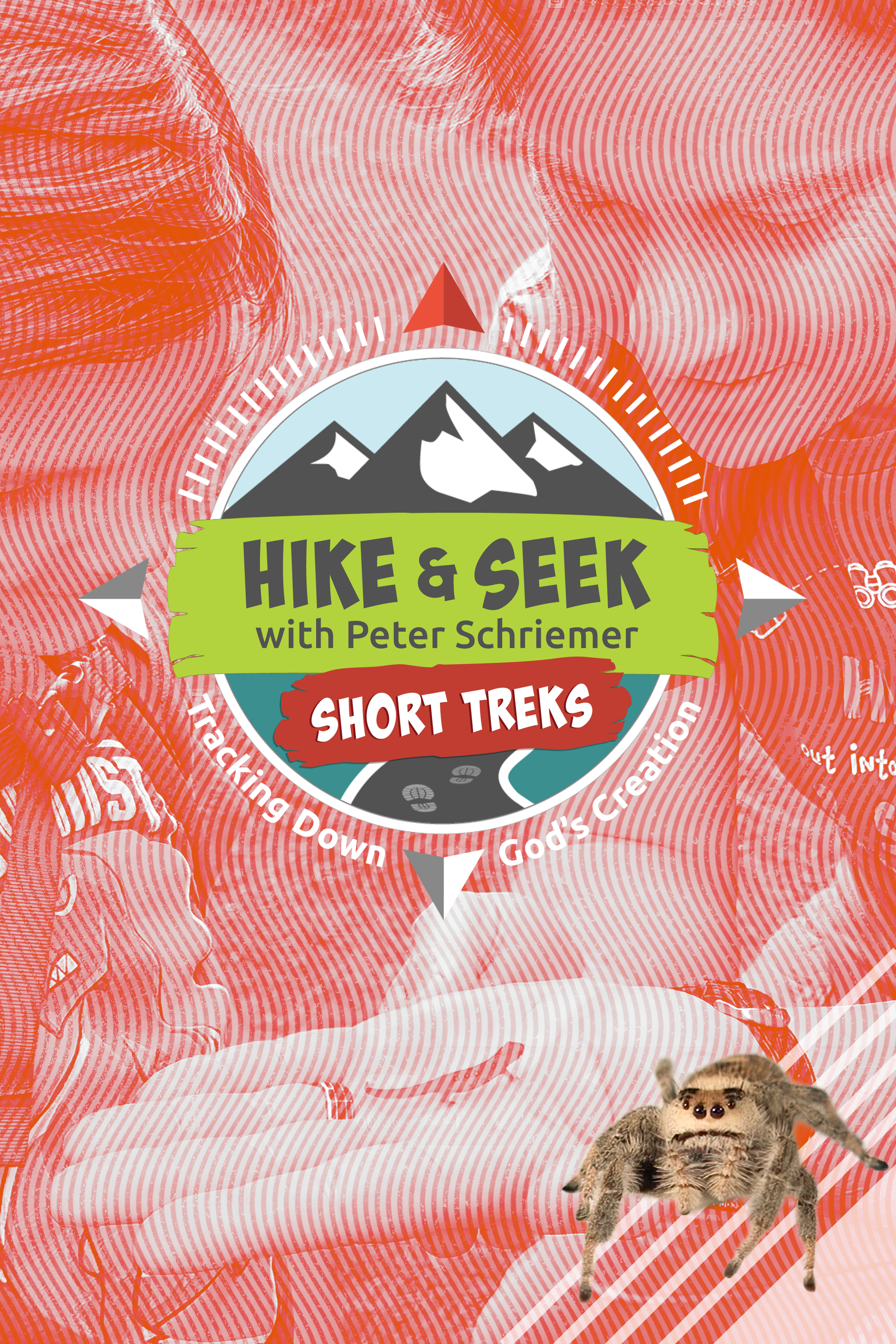 S2E4 Jumping Spiders