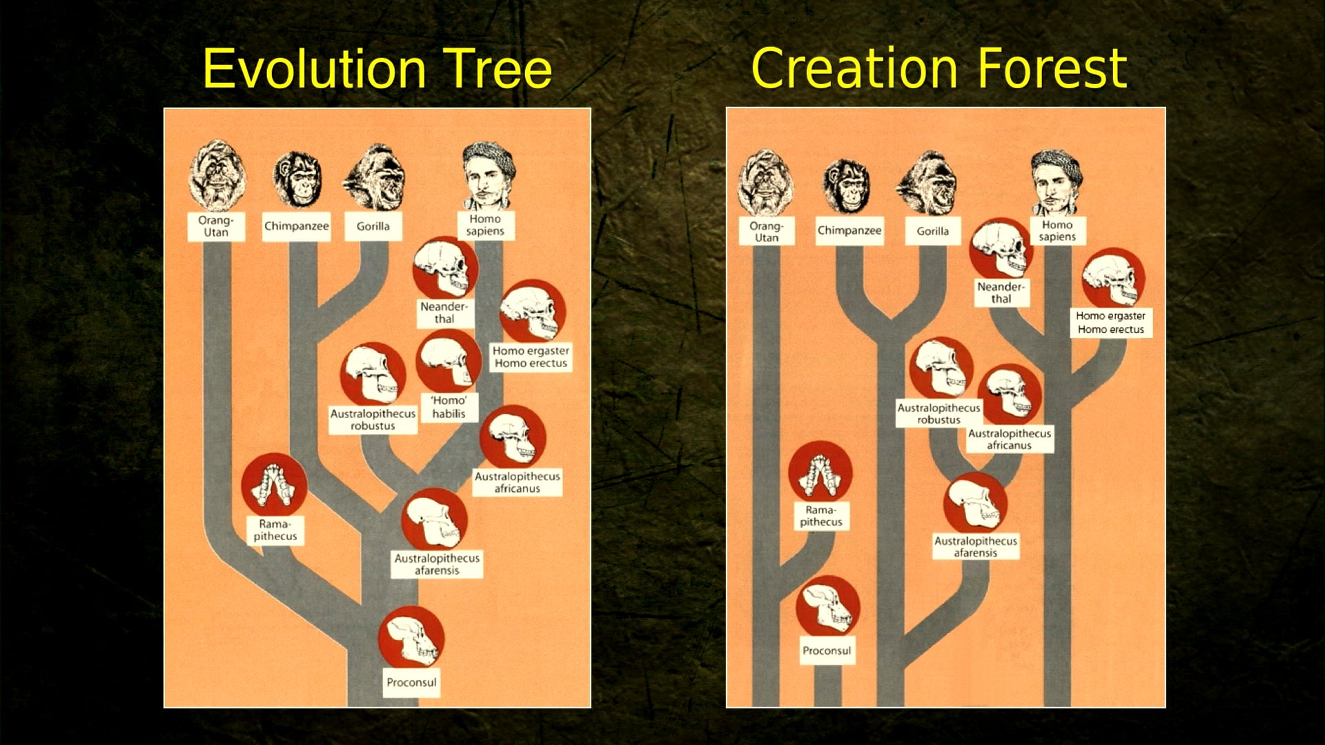 Ape-men, Adam, and the Gospel - Dr. Terry Mortenson