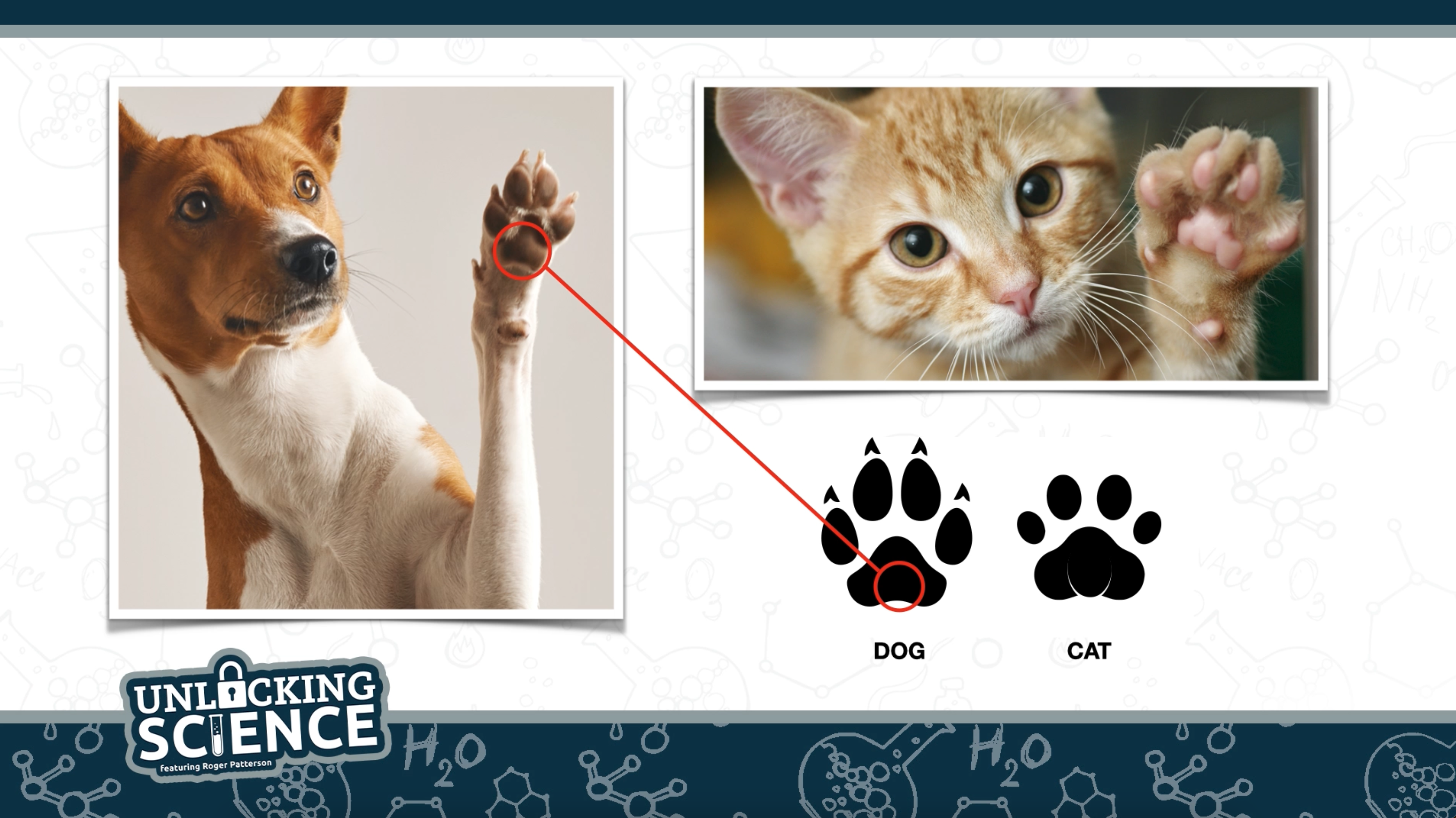 S5E11 Who Goes There?