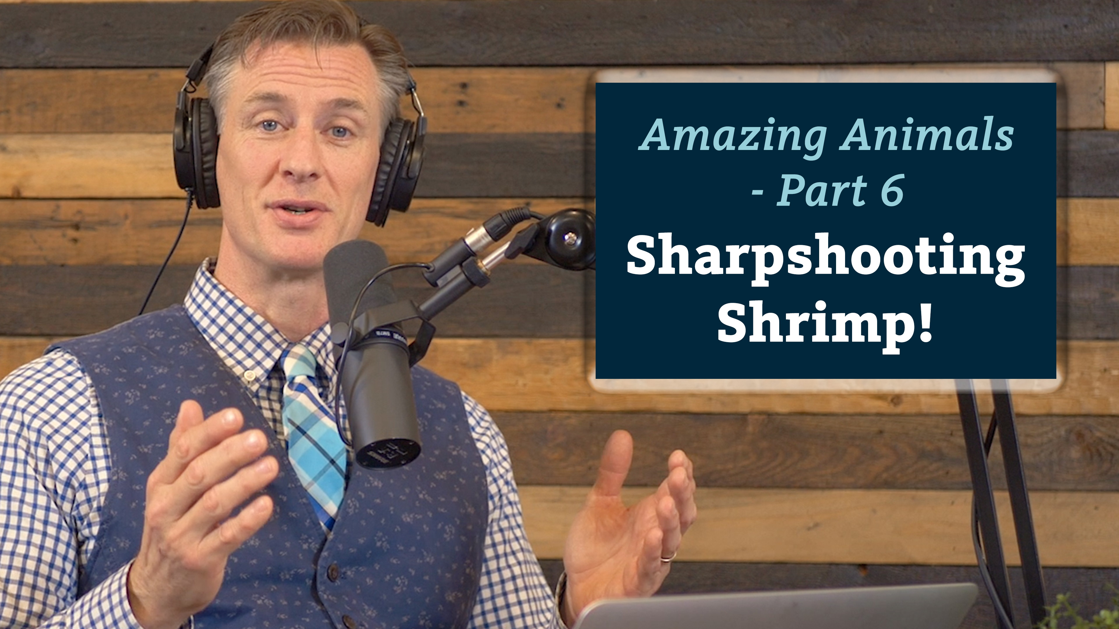 S5E4 Amazing Animals 6 of 7 - Sharpshooting Shrimp!