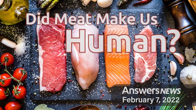2/07 Did Meat Make Us Human?