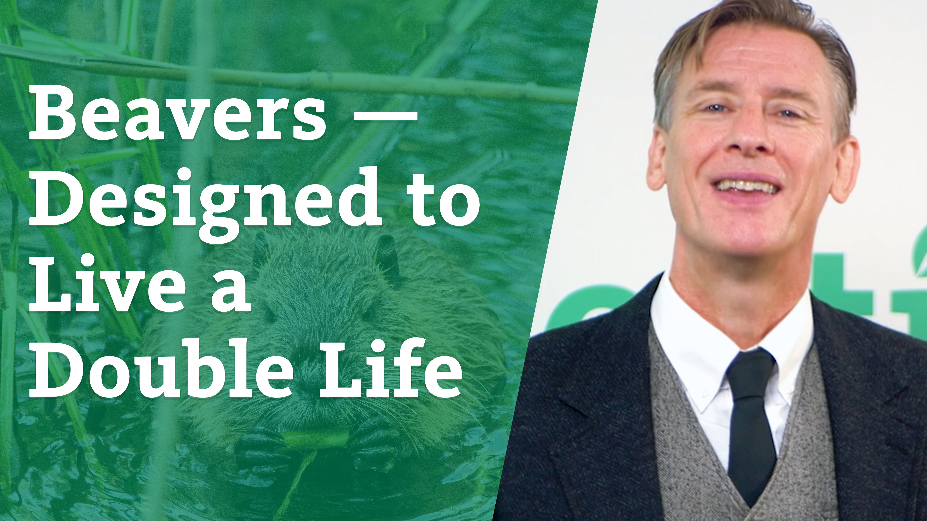 S5E2 Beavers- Designed to Live a Double Life