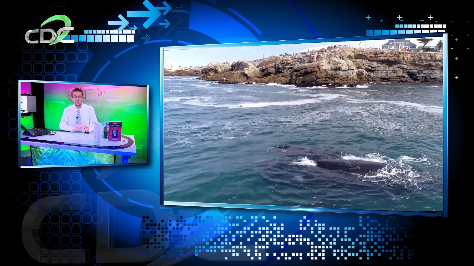 Reemplazando a Darwin Episodio 4