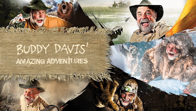 Buddy Davis’ Amazing Adventures