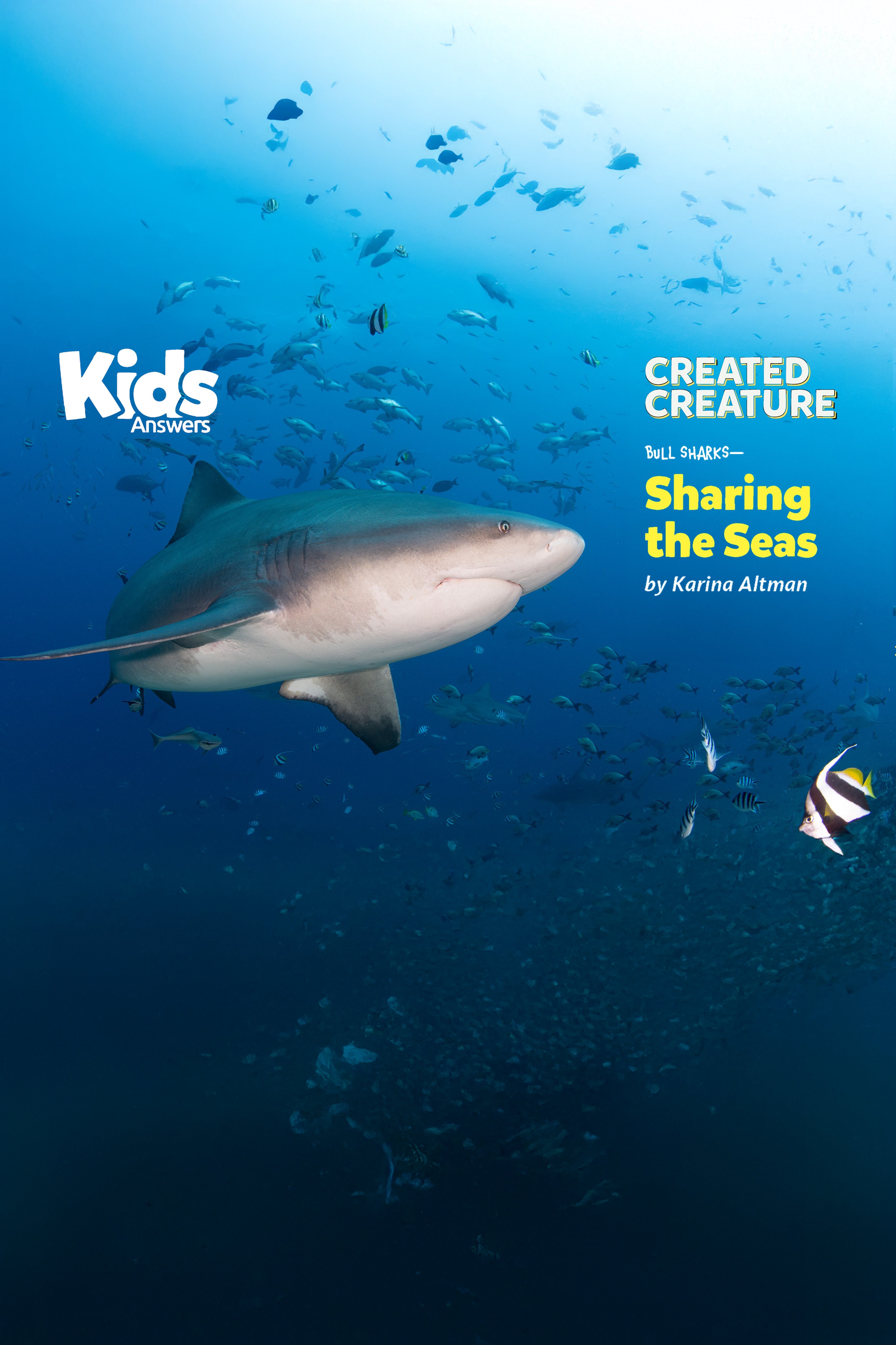 Bull Sharks - Sharing the Seas (Kids Answers Audio Article)