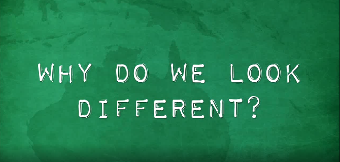 Why Do We Look Different?