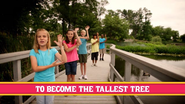 It Couldn't Just Have Happened