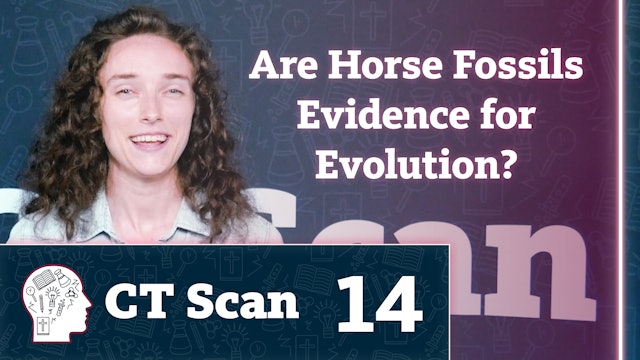 Are Horse Fossils Evidence for Evolution?