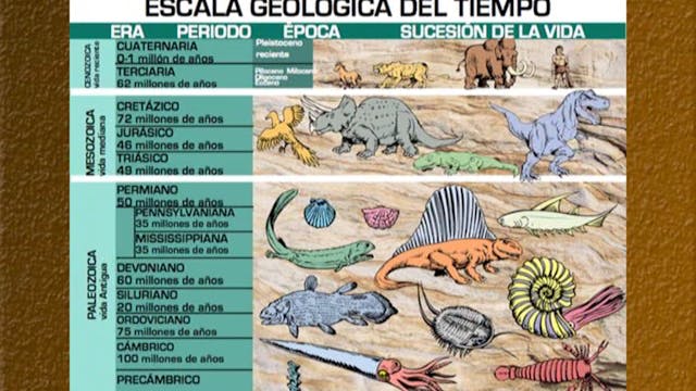 Aprendiendo a Pensar Bblicamente 1