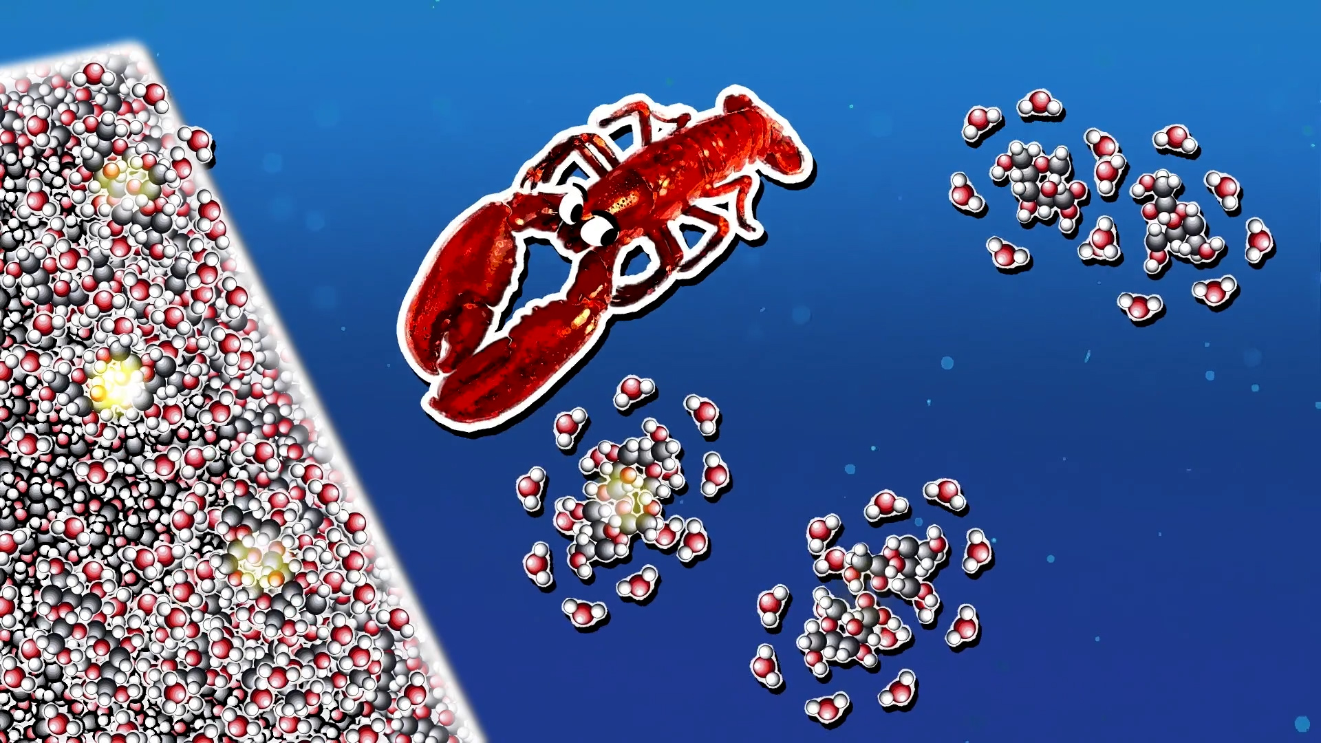 S5E2 Focusing on Concentration