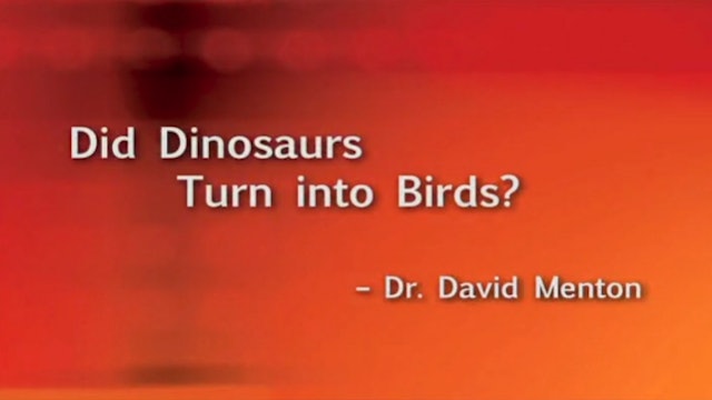 Did Dinosaurs Turn into Birds?