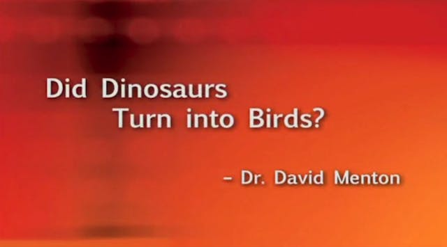 Did Dinosaurs Turn into Birds?