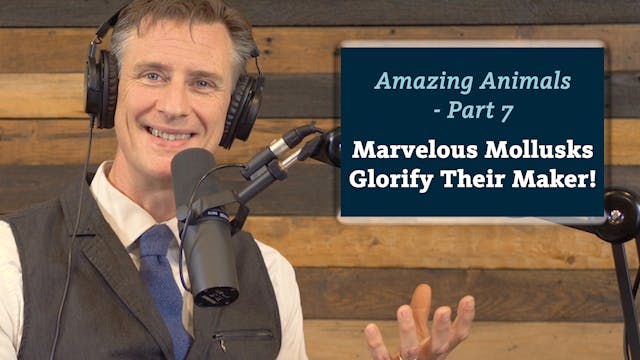 S5E5 Amazing Animals 7 of 7 - Marvelo...