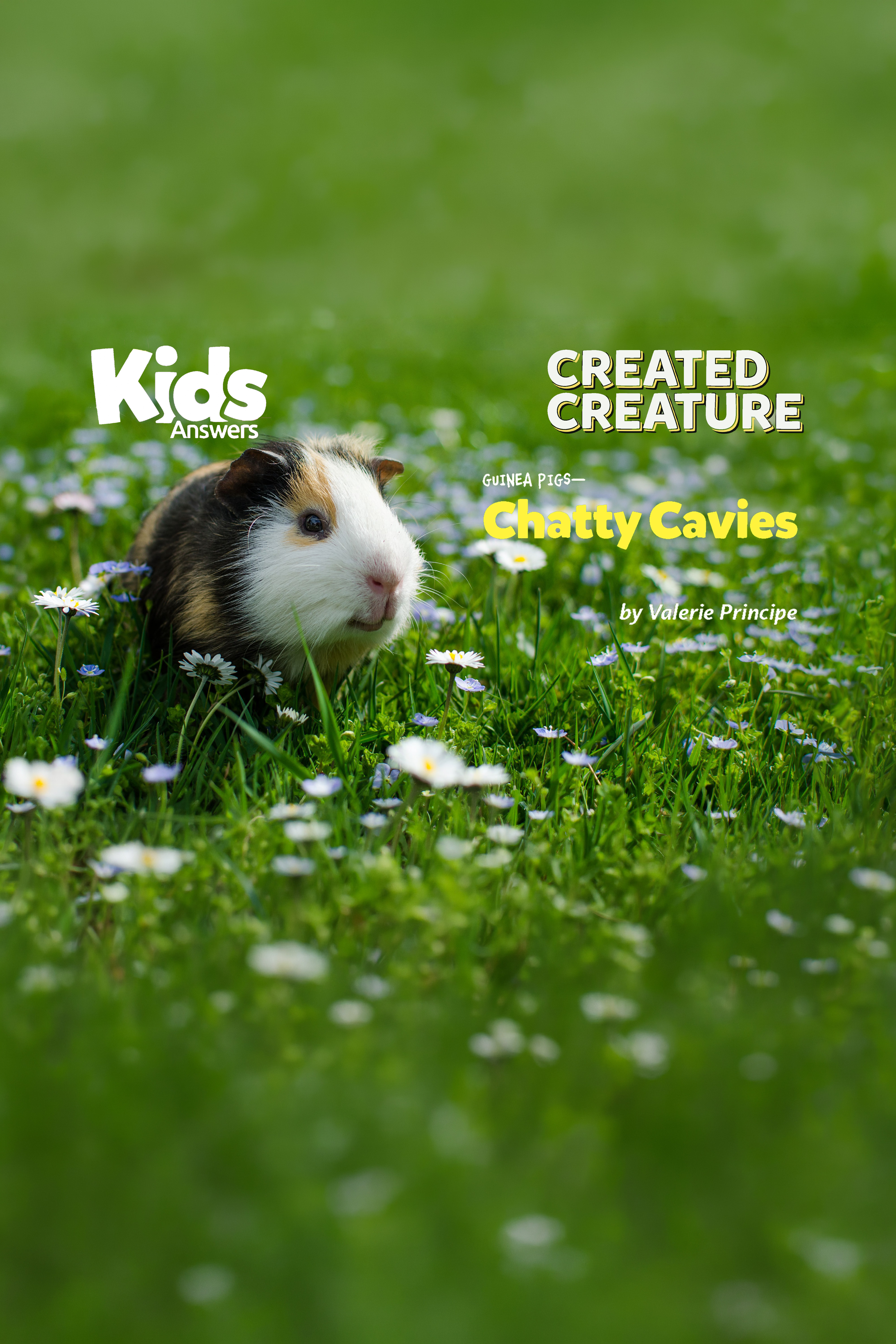 Created Creature: Guinea Pig - Chatty Cavies (Kids Answers AudioArticle)