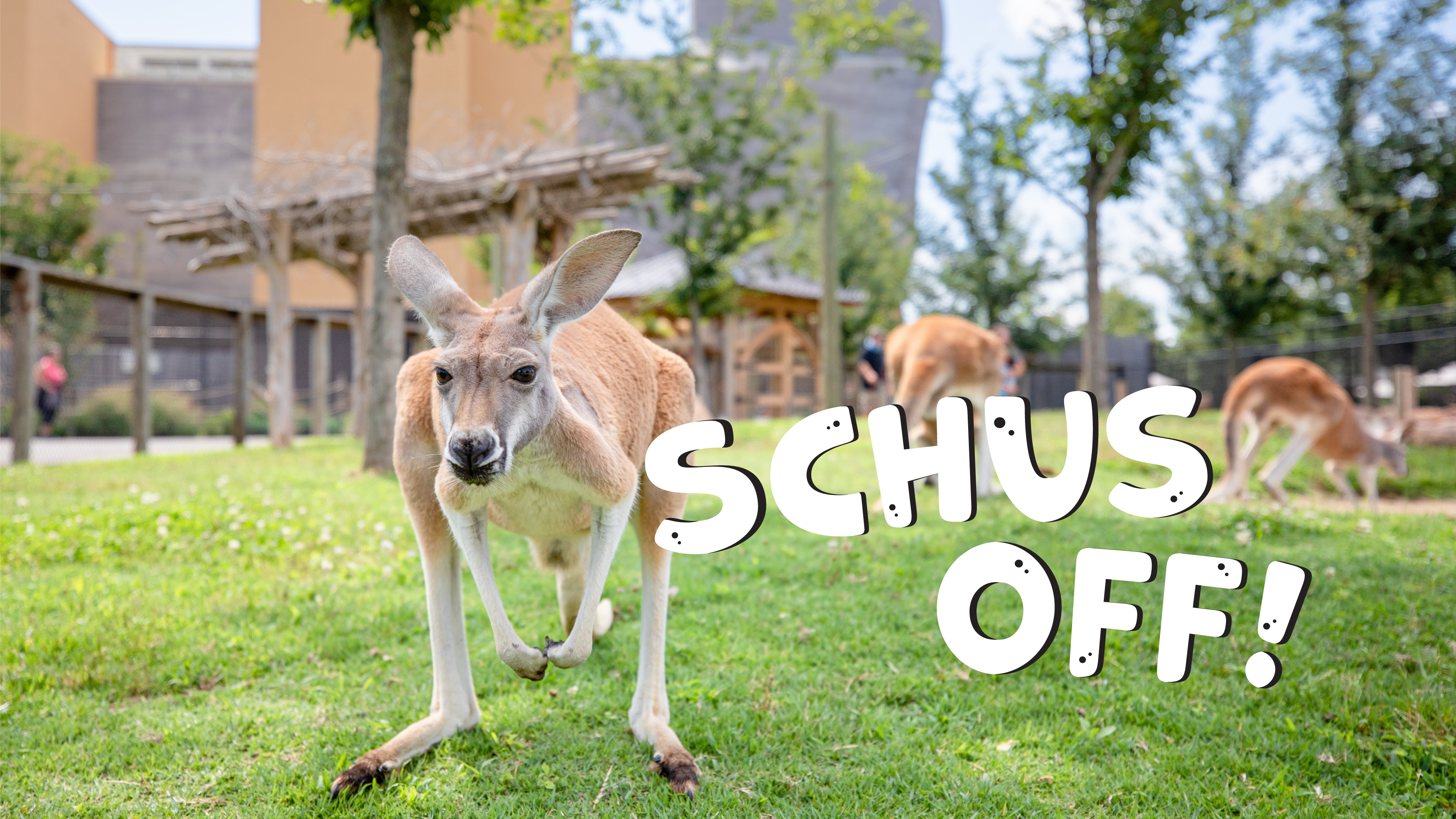 S1E1 Jumpers (Pilot)