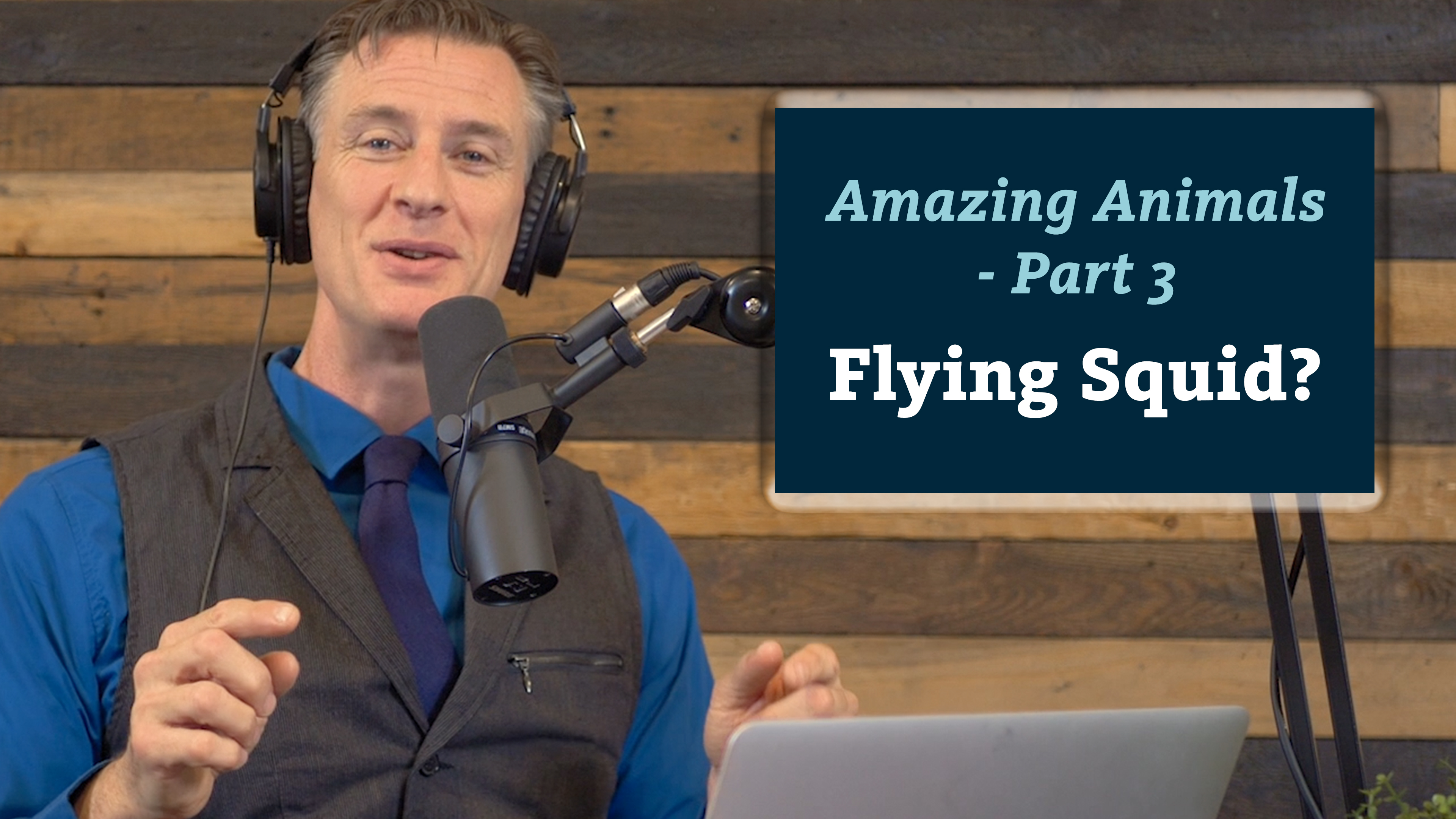 S5E1 Amazing Animals 3 of 7 - Flying Squid?