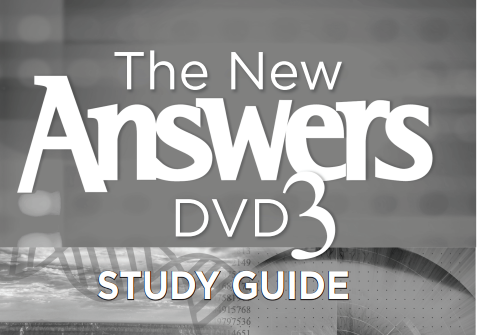 The New Answers 3 - Study Guide