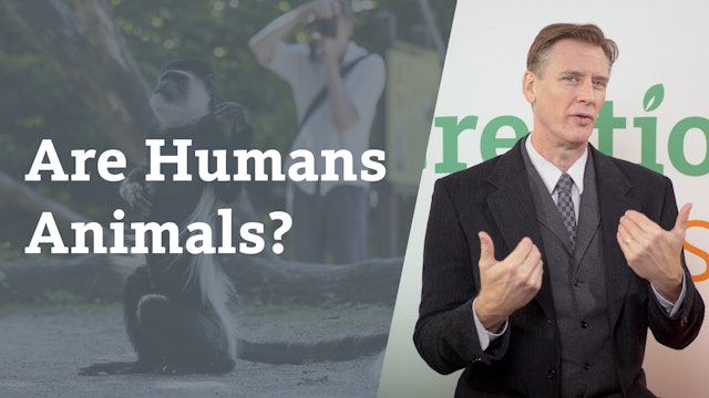Are Humans Animals?