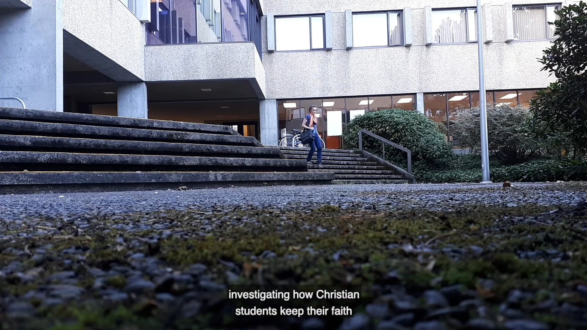 Hatching the Wild Idea