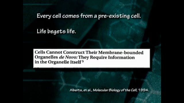 Molecular Evidence for Creation, Part 4